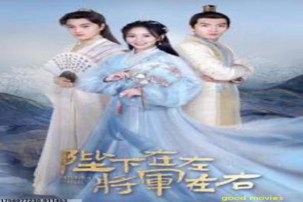 《情圣2016》影片角色设定与情感冲突深度剖析