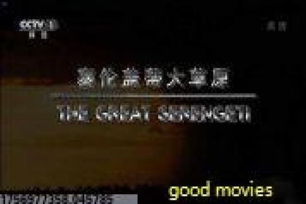 《战魂》36电视剧在线详解,魂战的战争灵魂与英雄主义精神深度