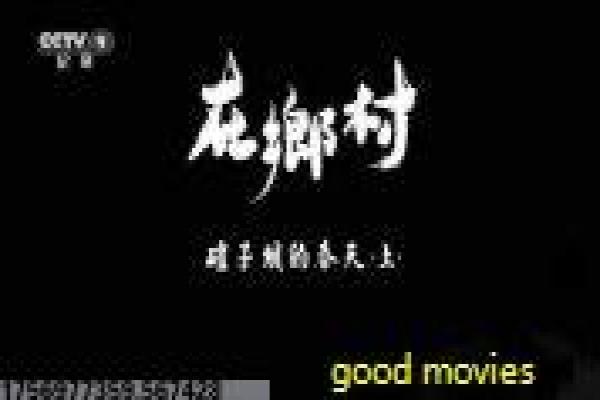 《士兵突击》分集剧情讲解,士兵成长的热血故事与军事拍摄幕后揭秘