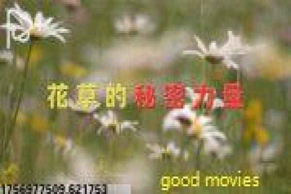 泰剧《两颗心都为了你》剧情分析|跨国爱情故事与幕后揭秘