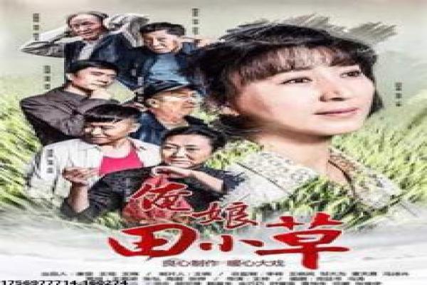 《醉玲珑》改编剖析——小说到电视剧的剧情差异全面讲解