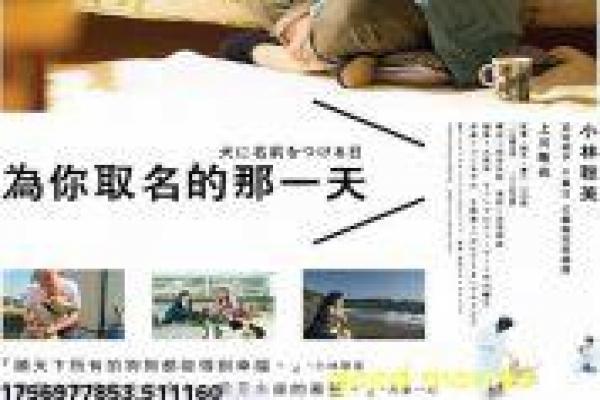 龙珠传奇无间道宫廷暗战,权谋设定与角色讲解