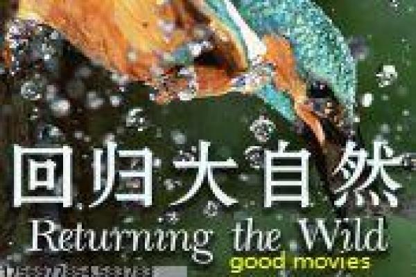 《渗透》全集解析简介,谍战阴谋的卧底生涯与紧张氛围幕后故事