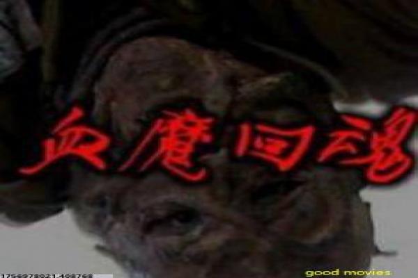 《落叶归根》|民间喜剧与社会肌理