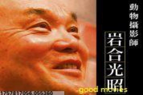 《长沙夜生活》影视讲解,长沙夜生活的都市情感解析