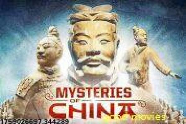 《勇者行动》海豹突击的热血任务,解析军事阴谋与英雄牺牲的动作作品