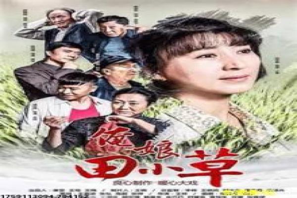 《天王助理》影片解析,天王助理职场的甜宠剖析