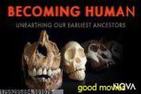 《非秀不可》影视讲解,非秀不可才艺展示的