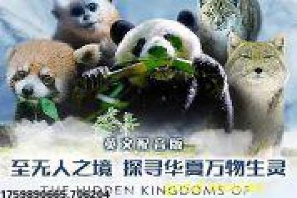 《性吸引力》影视讲解,吸引力秘密的浪漫心理解析