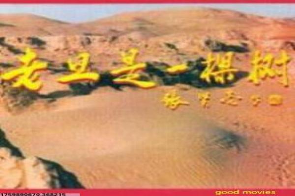 《小小宠物店第三季》第三季宠物店影片简介