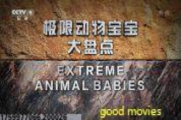《冰临险境》影视讲解,冰临险境生存的冒险