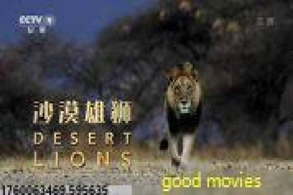 《终极一班3》影片简介,终极一班3青春的冒险传奇