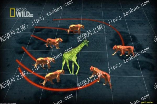 《泰版放羊的星星》影片详细,泰版放羊星星