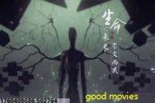 《终极游侠》终极侠客游侠的热血故事情节完整还原
