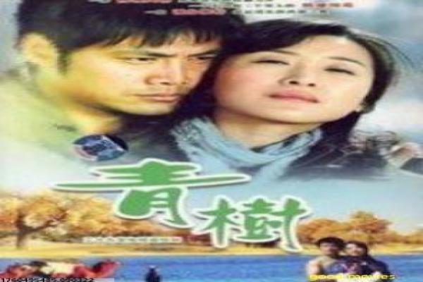 《惊情谍变》故事情节深度还原,惊情谍变谍